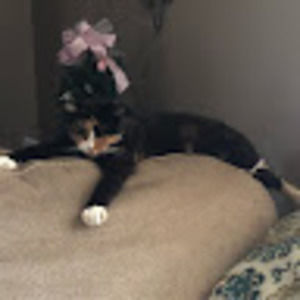 Meet your Posher, Stacy